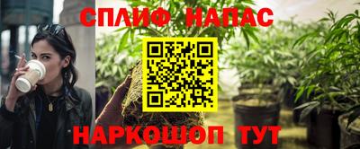 спайс Гатчина