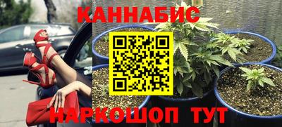 дистиллят марихуана Гай