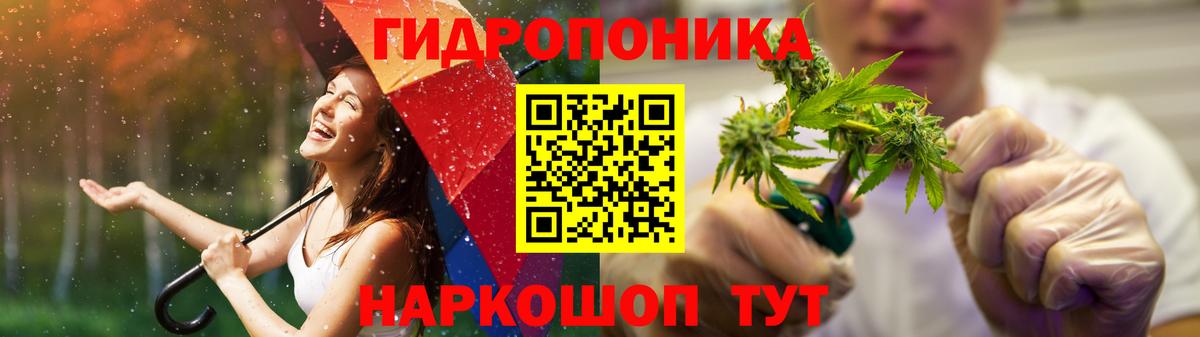 Каннабис MAZAR  Вход с VPN  Прокопьевск  Шишки марихуана план  Канабис OG Kush 